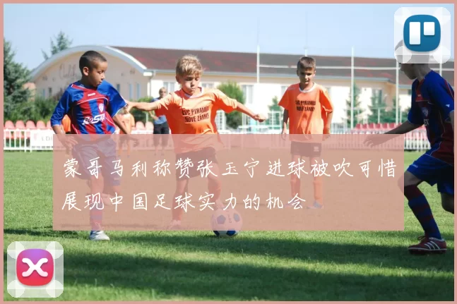 蒙哥马利称赞张玉宁进球被吹可惜展现中国足球实力的机会